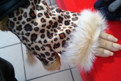 Leopard Print Fingerless Gloves Leopard Print Fingerless Gloves
